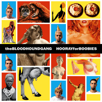 Cover de Hooray For Boobies