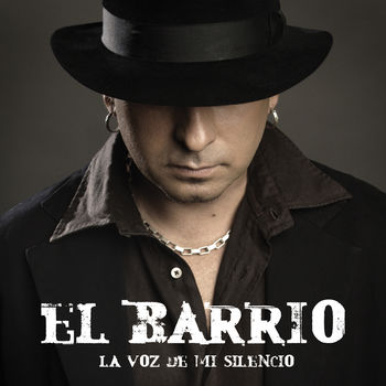 Cover de La Voz De Mi Silencio