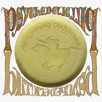 Cover de Psychedelic Pill