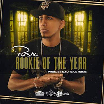 Cover de Rookie Of The Year