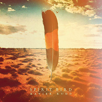 Cover de Spirit Bird